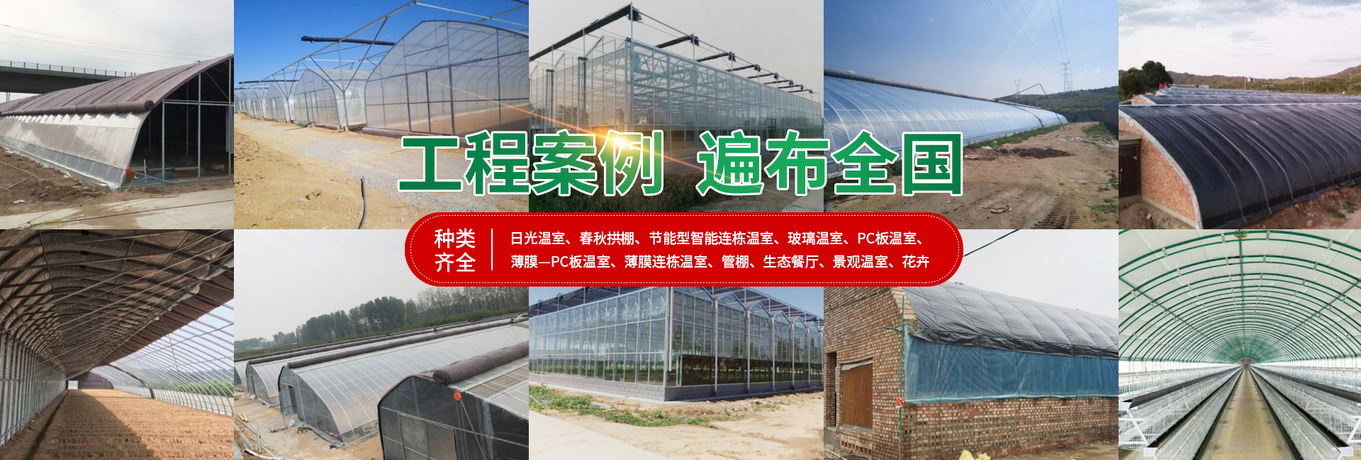 安陽市銀豐農(nóng)業(yè)科技有限公司_PC