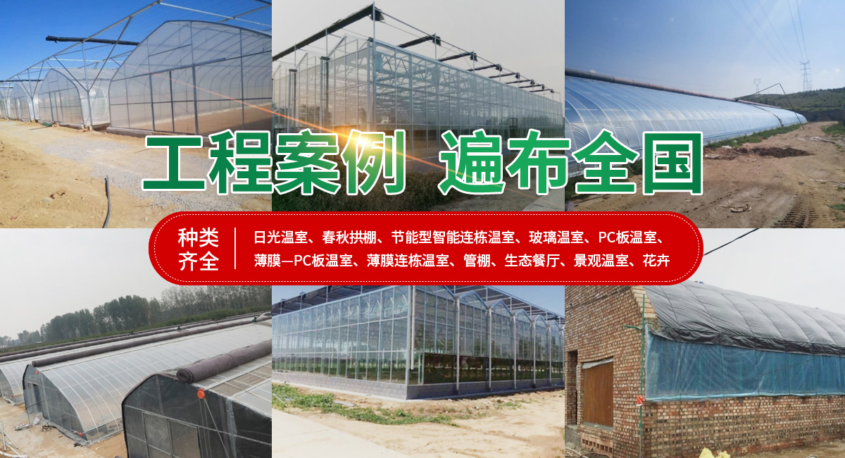 安陽市銀豐農(nóng)業(yè)科技有限公司_M