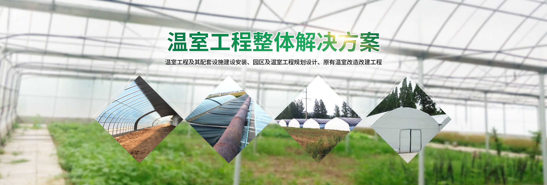安陽市銀豐農(nóng)業(yè)科技有限公司_PC