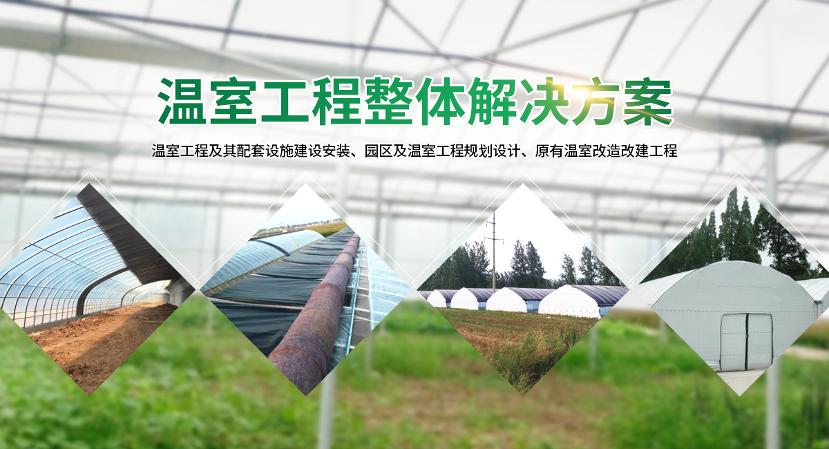 安陽市銀豐農(nóng)業(yè)科技有限公司_M